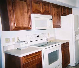 Raised panel mitered corner doors.