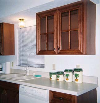Same kitchen with some 4-lite mullion doors.<br />Notice that the frames match the solid panel<br />door frames in the previous picture.